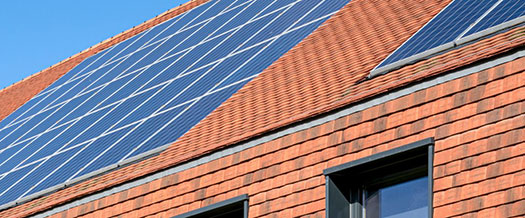 LOM certified as a Carbon Neutral Organisation | Journal | LOM Architects - LOM