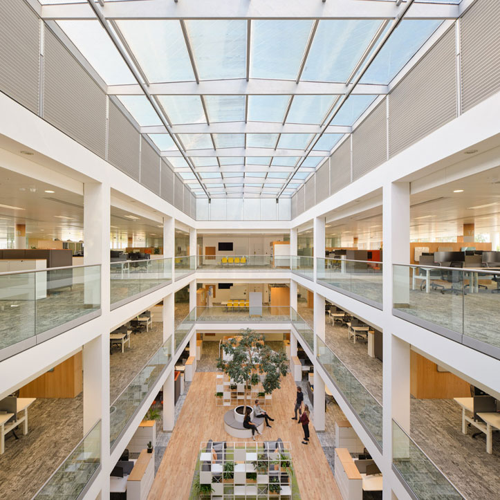 Roche Products | Projects | LOM - LOM