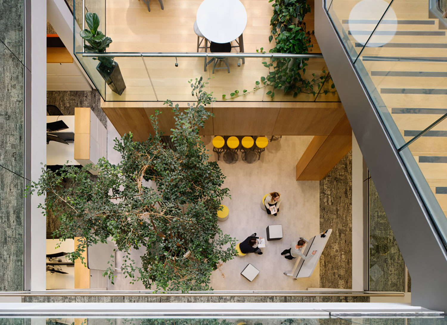 Roche Products | Projects | LOM - LOM