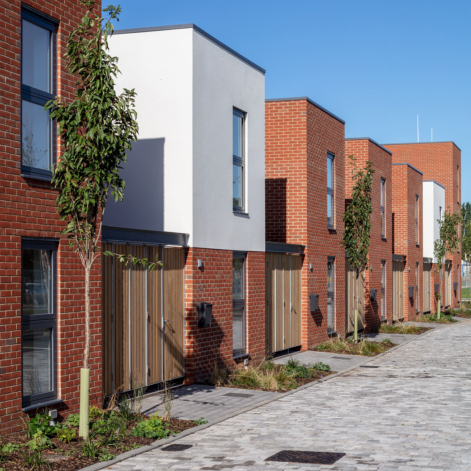 Bata Mews | Projects | LOM Architecture - LOM