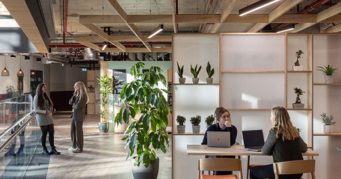 x+why MK | Project | LOM Architects - LOM