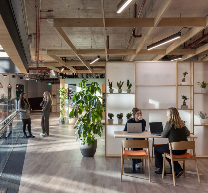 x+why MK | Project | LOM Architects - LOM