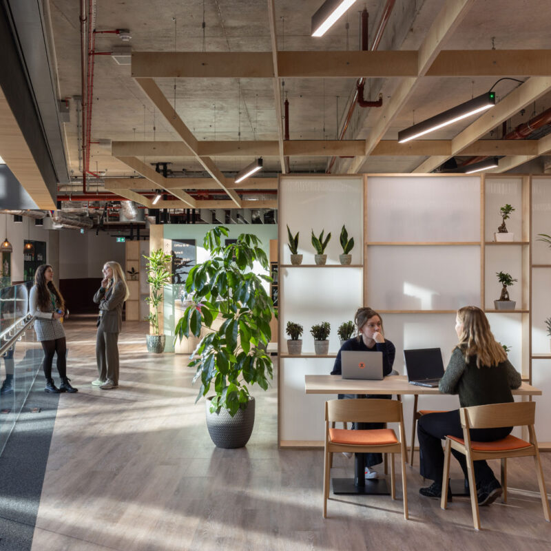 x+why MK | Project | LOM Architects - LOM