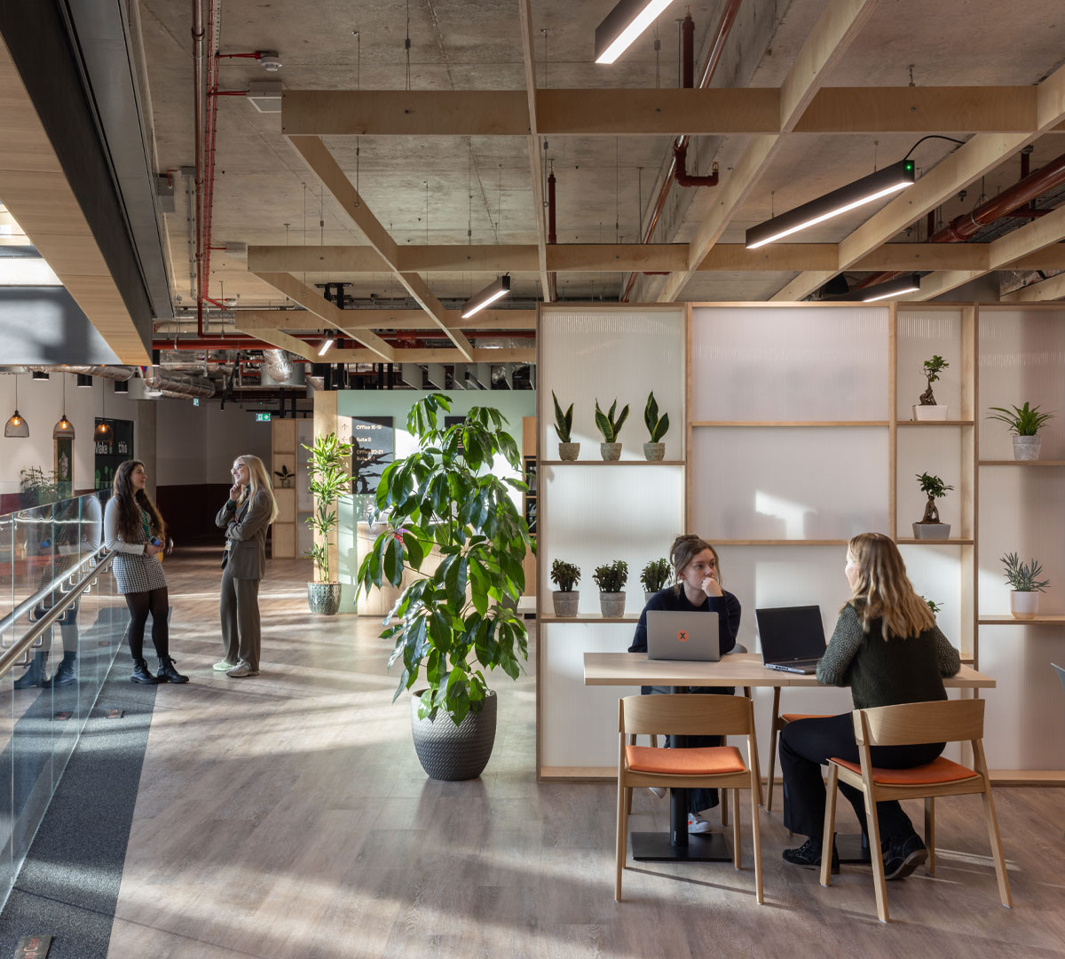 x+why MK | Project | LOM Architects - LOM