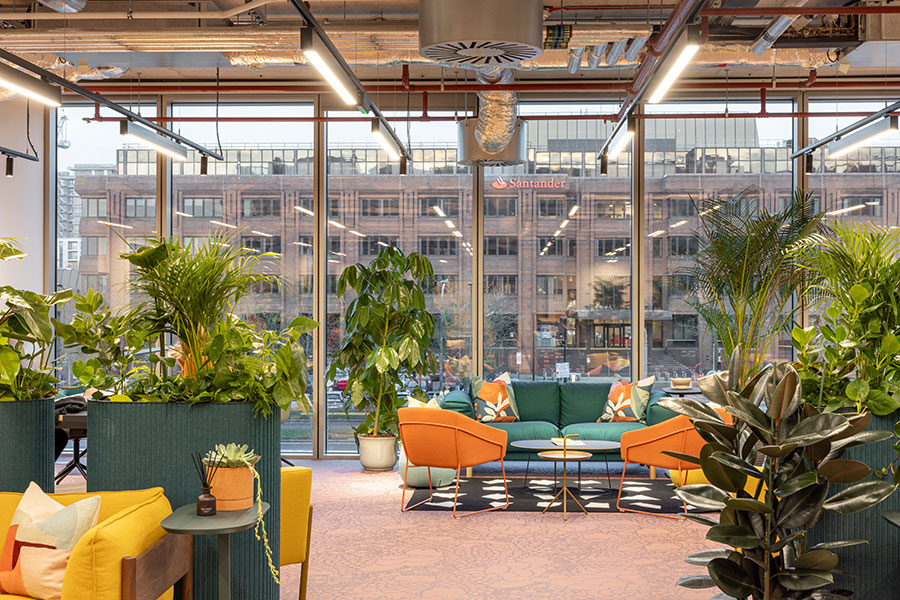 x+why MK | Projects | LOM Architects