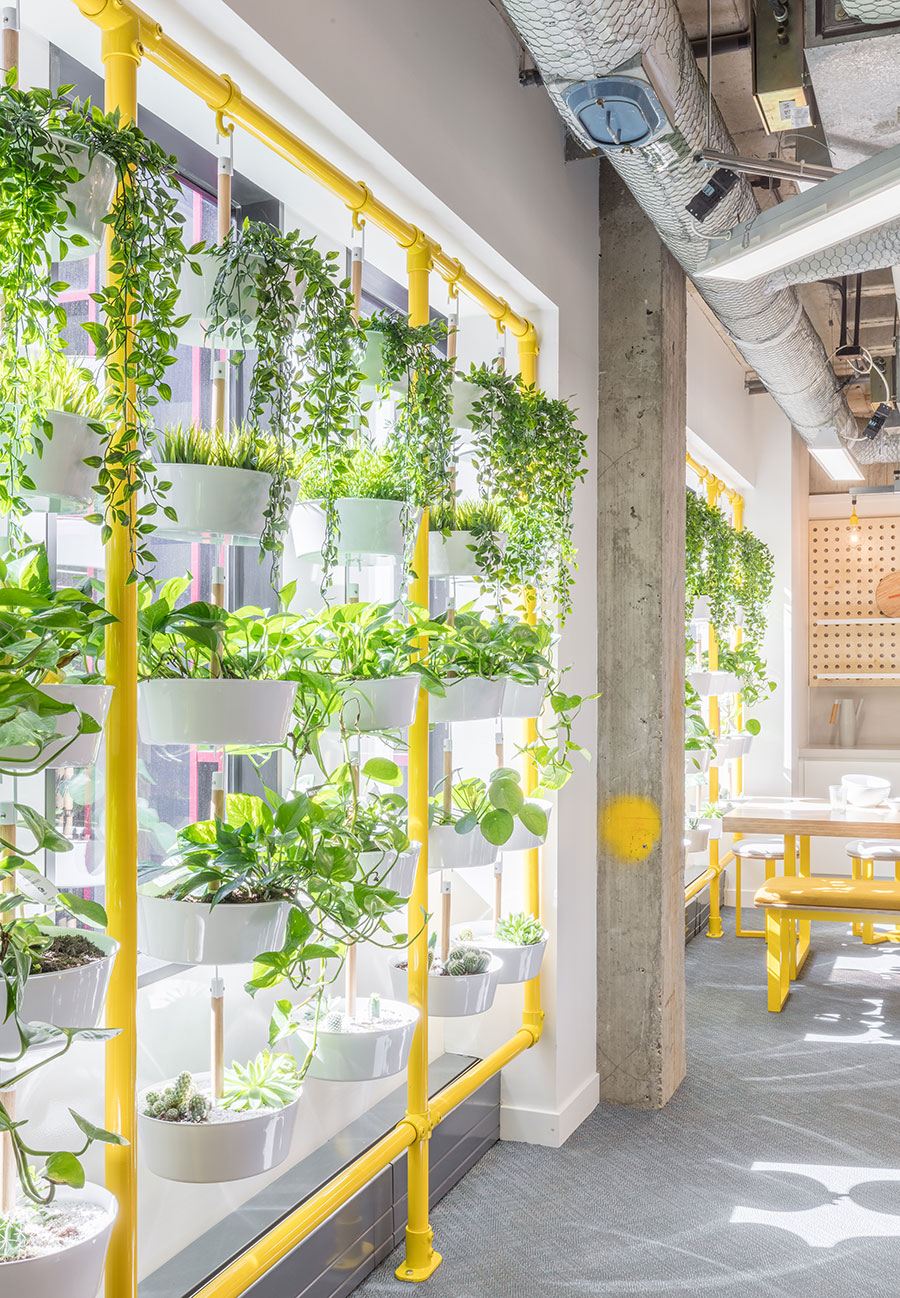 Open Experience | Projects | LOM Architecture