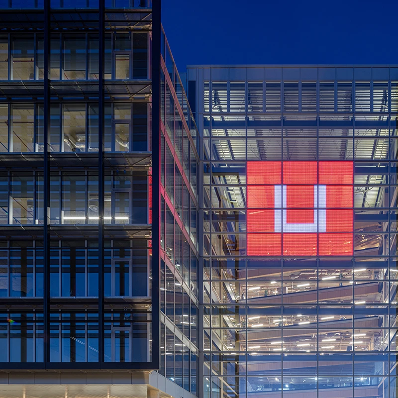 Insight & Imagination | LOM - LOM